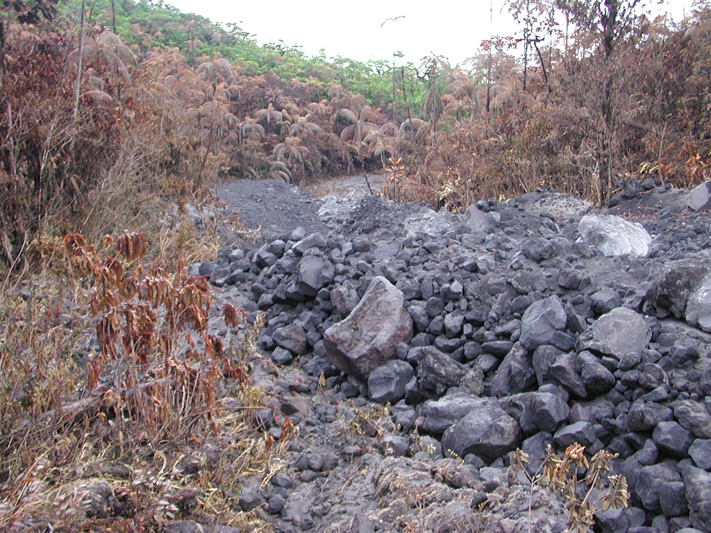 This is a pyroclastic flow deposit that was emplaced down the NE flank of Arenal on 5 September 2003, singeing vegetation on either side of the narrow valley. A series of pyroclastic flows were produced over two hours starting at 1055. The pyroclastic flows originated from the collapse of lava flows on the steep upper flank. Accompanying ashfall occurred to the W and NW. Photo by Eliecer Duarte, 2003 (OVSICORI-UNA).