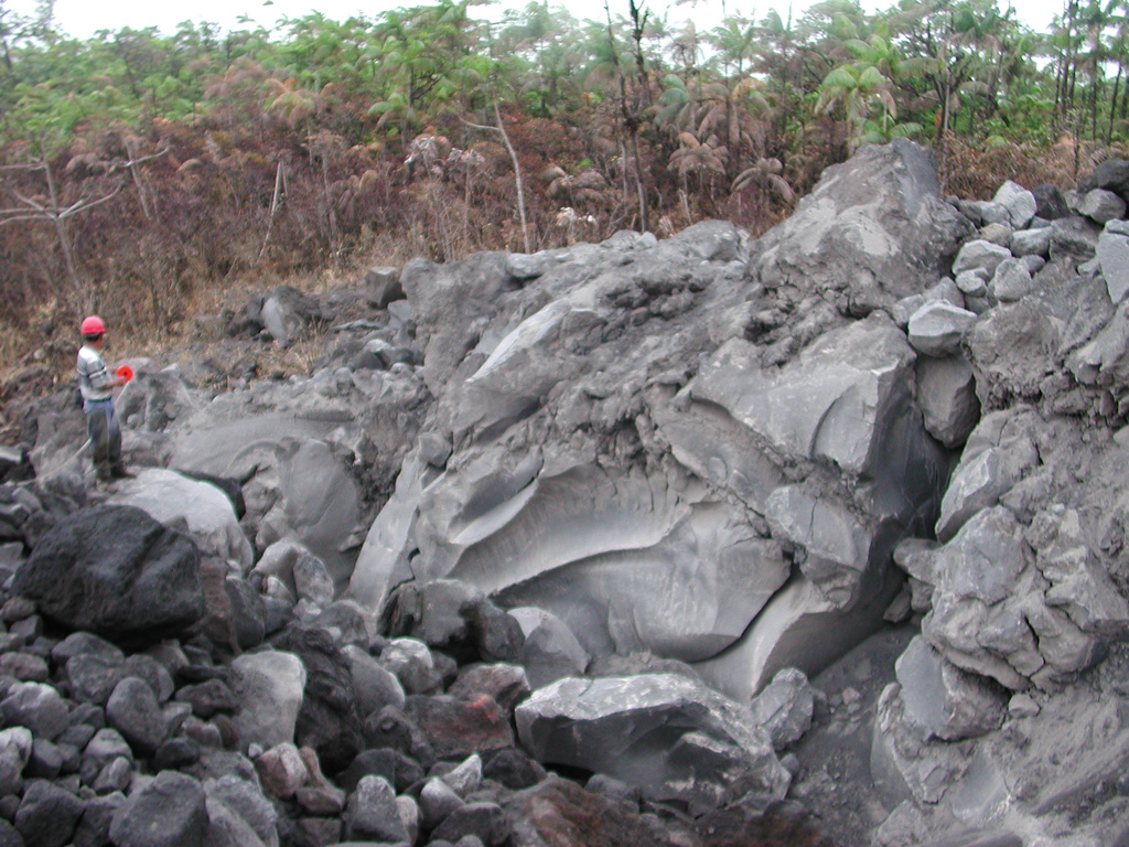 A large 4 x 7 x 35 m block from a lava flow was transported about 900 m within a pyroclastic flow down the NE flank of Arenal on 5 September 2003. The flows were produced by lava flow fronts collapsing, descending to about 800 m elevation. Geologist Erick Fernandez from OVSICORI-UNA measures the dimensions of the block.  Photo by Eliecer Duarte, 2003 (OVSICORI-UNA).