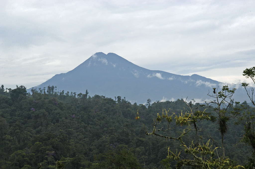 Forested Sumaco volcano rises to 3990 m above the jungles of the western Amazon basin and is seen here in an unusually cloud-free view NE of the road from Baeza to Tena.  Sumaco is part of a north-south-trending volcanic chain far to the east of the main Andes volcanic axis and has erupted more alkaline rocks distinct from those of the main chain.  Reports of historical eruptions are somewhat ambiguous, although the volcano maintains its symmetrical shape despite heavy rainfall and intense erosion. Photo by Ursy Potter, 2005.