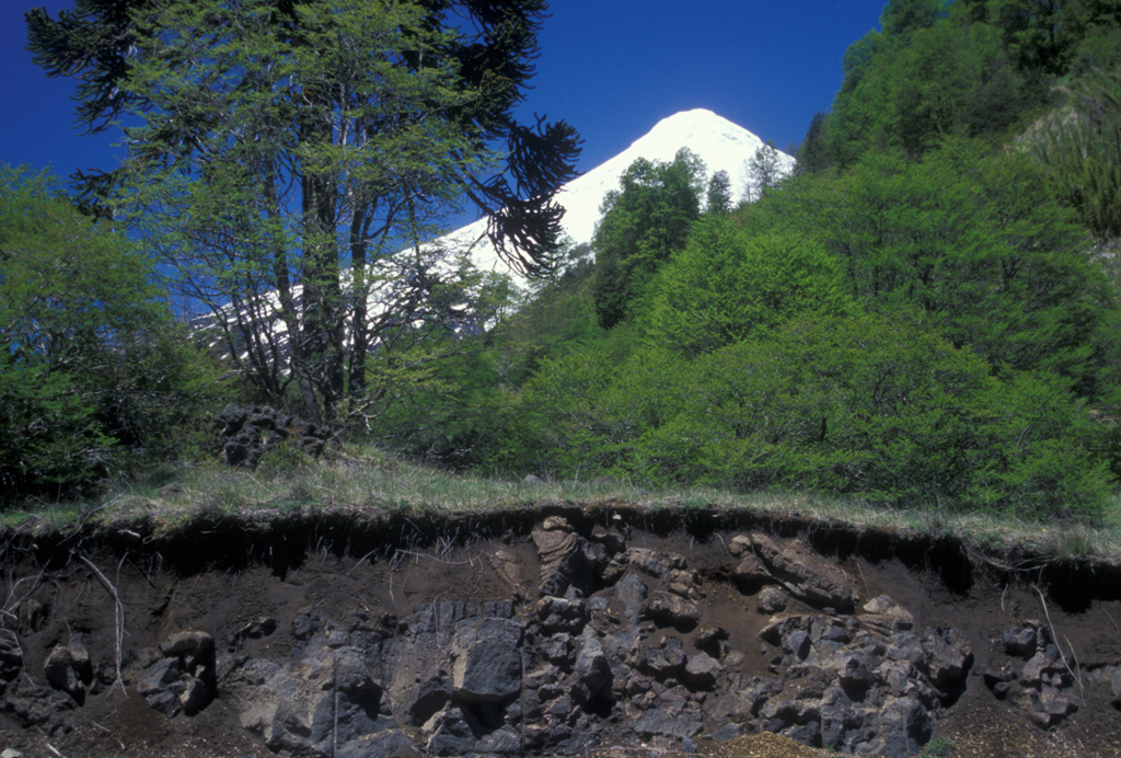 The lava flow in the foreground roadcut is part of the Quillelhue Basalts, which were erupted from an area at about 2600 m altitude on the NNW flank of Lanín, the snow-capped volcano in the background.  The lavas form a basaltic field that reaches as far as Quillelhue Lake, more than 5 km from their source.  The flows are bracketed by 2170 BP date for the Mamuil Malal dacitic block-and-ash flow and a 1650 BP date for an overlying pyroclastic-flow deposit.   Photo by Lee Siebert, 2004 (Smithsonian Institution).