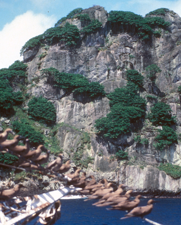Outcrops of trachyte form cliffs on the northern side of Isla Coco.  Seabirds perch on lines of the R/V Searcher of the University of Costa Rica.  A massive trachytic lava dome lies between Bahia Wafer and Bahia Chathan on the NE side of the island.  Photo by Pat Castillo, 1984 (Scripps Institution of Oceanography, University of California San Diego).