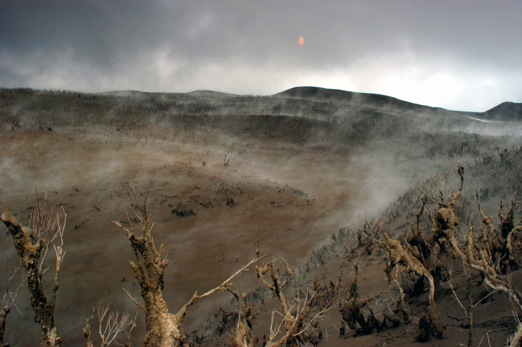 Tephra deposits left by Karthala's 16-18 April 2005 eruption altered the landscape and destroyed vegetation. This picture was taken at the entrance to the first caldera on the western trail, viewed looking to the S. A brief eruption from Chahalé crater beginning on the 16th produced ashfall that increased in intensity the following day, producing an ash plume and volcanic lightning. Ash deposits varied in thickness from a few millimeters on the coast to ~1.5 m at the summit. Photo by Nicolas Villenueve, 2005 (Université de la Réunion).