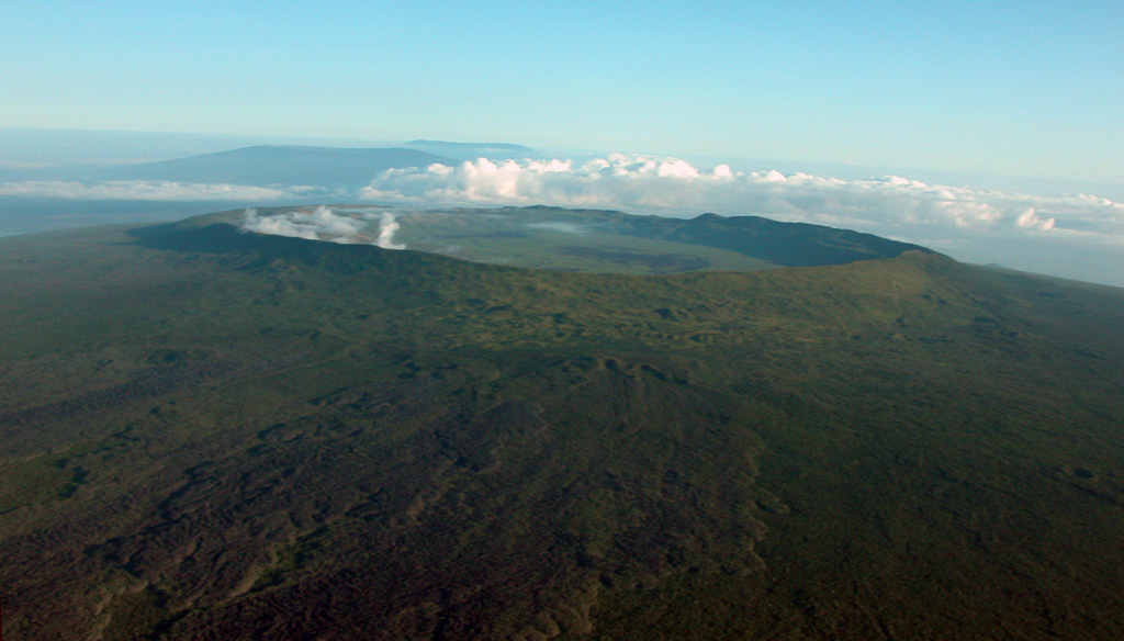 The large 7-8 km wide summit caldera of Alcedo volcano is seen in this aerial view from the south.  Alcedo is one of the lowest and smallest of six shield volcanoes on Isabela Island; Darwin and Wolf volcanoes can be seen in the background.  Much of the flanks and summit caldera are vegetated, but young lava flows are prominent on the northern flank near the saddle with Darwin volcano, and an active hydrothermal system lies within the caldera.   Photo by Patricio Ramon, 2005 (Instituto Geofisca, Escuela Politecnica Nacional).