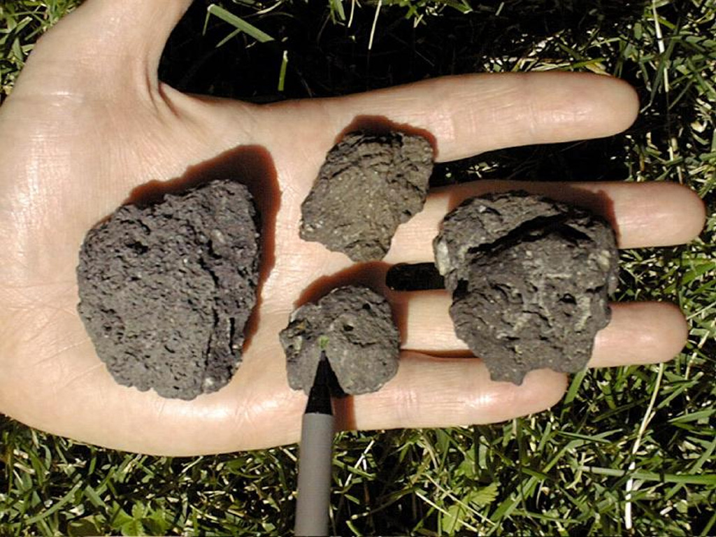 Basalt scoria was erupted from the Soda Lake maar in west-central Nevada.  The pen points to an olivine phenocryst; the ejecta also contains abundant phenocrysts of plagioclase and less common clinopyroxene, as well as minor grains of magnetite. Photo by Nevada Bureau of Mines and Geology.