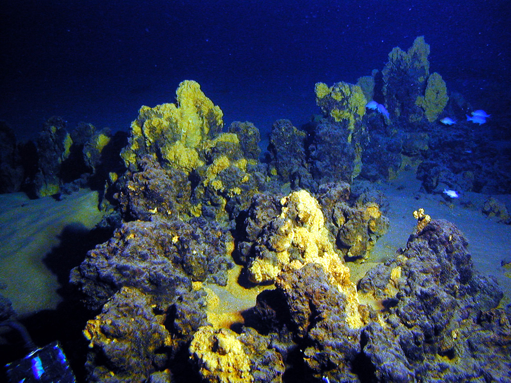 Iron and silica-rich chimneys on the summit of Giggenbach volcano are evidence of warm springs that were active at this site in the past. Image courtesy of New Zealand-American Submarine Ring of Fire 2005 Exploration, NOAA Vents Program.