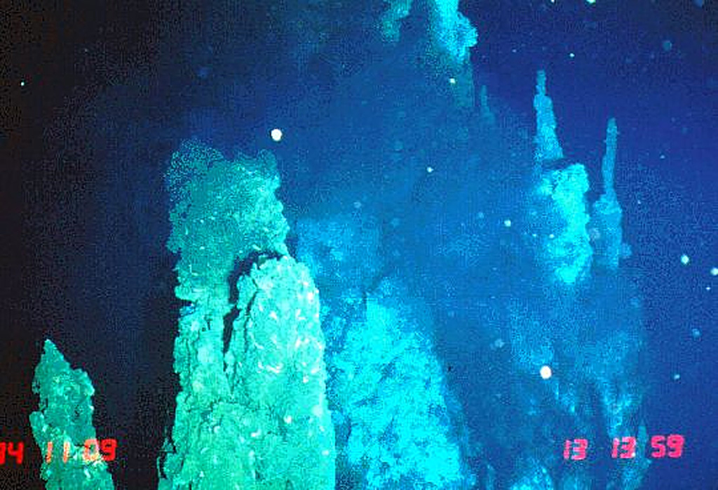 Black smoker hydrothermal vents emitting high-chlorinity fluids were photographed at the "RM29" site at 18°10’S. This image was taken in November 1994 from the Japanese submersible Shinkai 6500. The axial crest of Segment J of the Southern East Pacific Rise consists of an asymmetrical shallow graben varying from 250 to 600 m wide with walls about 20 m high. Image courtesy of NOAA Vents Program, 1994 (www.pmel.noaa.gov/vents/chemistry/images/).
