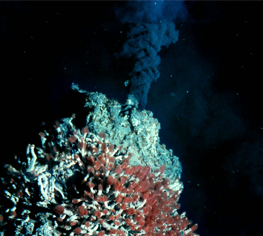 This 360°C black smoker chimney is located in the Endeavour Ridge segment of the Main Endeavour hydrothermal field at the northern end of the Juan de Fuca Ridge. Tube worms with red gills thrive on the edifice, which is predominantly composed of iron- and sulfur-bearing minerals. The 90-km-long ridge segment, which lies west of the coast of Washington and SW of Vancouver Island, is the site of vigorous high-temperature hydrothermal vent systems that were first discovered by scientists in 1981. Image courtesy of NOAA Ocean Explorer and University of Washington.