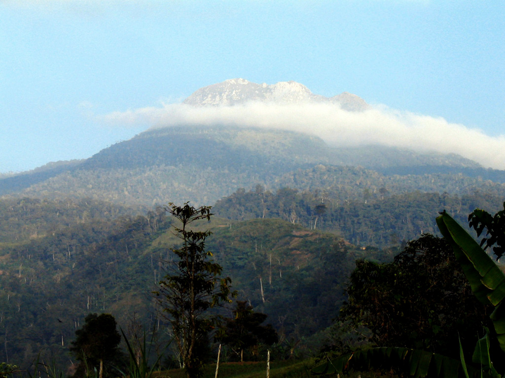 Apo volcano, the highest peak in the Philippines, rises SW of the coastal city of Davao. The SW peak is the highest point and contains a 500-m-wide crater with a small lake. The youngest crater is on the northern peak of the volcano, whose name means “master” or “grandfather.” Photo by Paul Boscher, 2005.