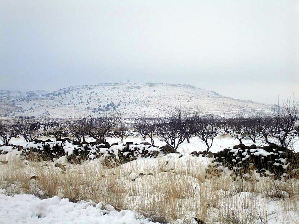 Snow-capped Tell Qeni is the highest point of the Jabal ad Druze volcanic field, the southernmost in Syria. It lies in the Haurun-Druze Plateau in SW Syria near the border with Jordan. The field consists of a group of 118 basaltic volcanoes active from the lower-Pleistocene to the Holocene. Anonymous photo by Wikipedia user KFZI310, 2006.