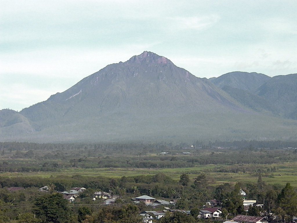 Historically active Bur ni Telong volcano, seen here from the SE, was constructed on the southern flank of Bur ni Geureudong volcano, part of which is visible in the background. The two summits of the complex are 4.5 km apart and are similar in elevation. The summit crater has migrated to the ESE, leaving arcuate crater rims. Lava flows are exposed on the southern flank. Explosive eruptions were recorded during the 19th and 20th centuries. Photo by Cahya Patria, 2004 (Centre of Volcanology & Geological Hazard Mitigation, Volcanological Survey of Indonesia).