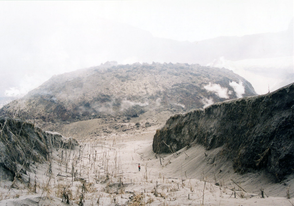A newly formed, steaming lava dome occupies the summit crater of Awu volcano.  Following increased seismicity, a small lava dome was noted on June 2, 2004.  Explosive eruptions took place beginning on June 6, the largest of which, on June 10, produced an ash plume 3 km high.  By June 14 the dome was 250 x 300 m wide and 40 m high.  Incandescence was observed in late June to early July, and at the end of August (the last report) the dome was observed to have increased in size to the north, but had not increased in height.   Photo by A. Solihin, 2004 (Centre of Volcanology & Geological Hazard Mitigation, Volcanological Survey of Indonesia).