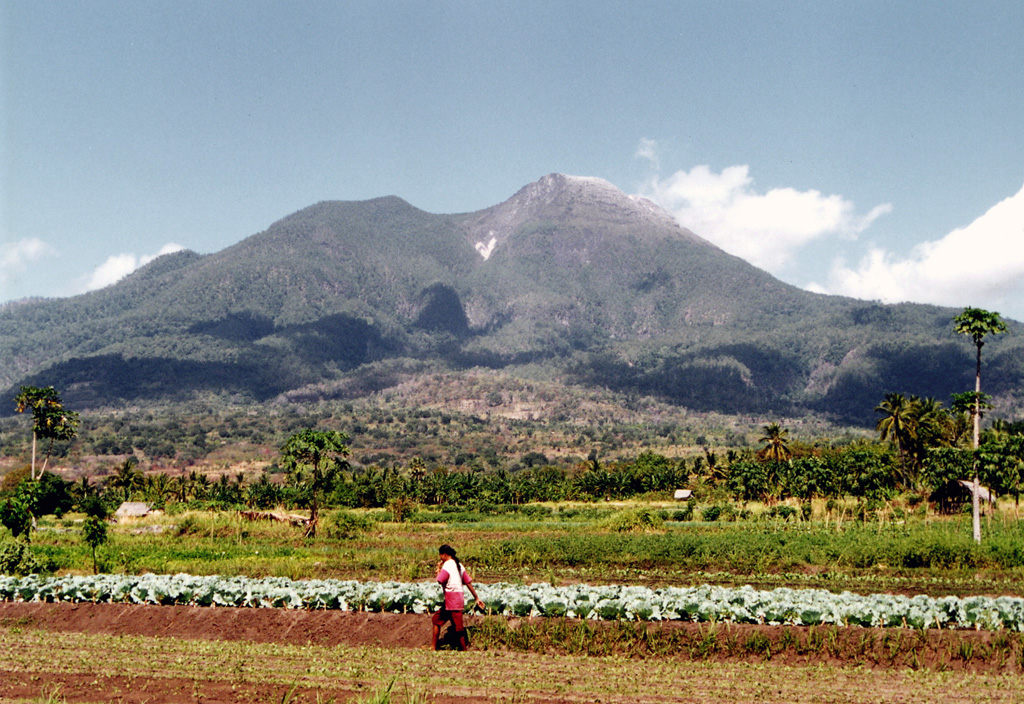 Egon volcano, with its vegetation-free summit lava dome, rises above farmlands at its base. The summit has a 350-m-wide, 200-m-deep crater that sometimes contains a lake. Other small crater lakes occur on the flanks of the volcano. Photo by Igan S., 2004 (Centre of Volcanology & Geological Hazard Mitigation, Volcanological Survey of Indonesia).