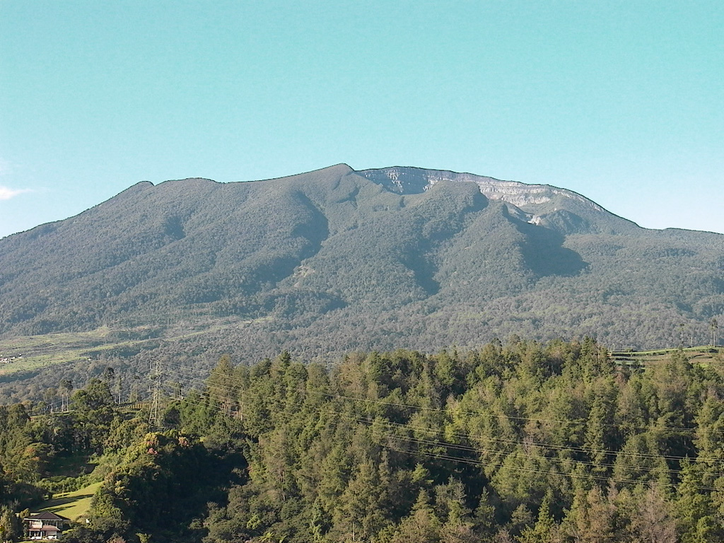 The summit crater (right) of Gede is at the broad summit of the volcano. Gunung Gede is one of the most prominent volcanoes in western Java, immediately adjacent to Pangrango volcano to the NW. Many lava flows are visible on the flanks of the younger Gede. Activity recorded since the 16th century has typically consisted of small explosive eruptions of short duration. Photo by Cahya Patria, 2004 (Centre of Volcanology & Geological Hazard Mitigation, Volcanological Survey of Indonesia).