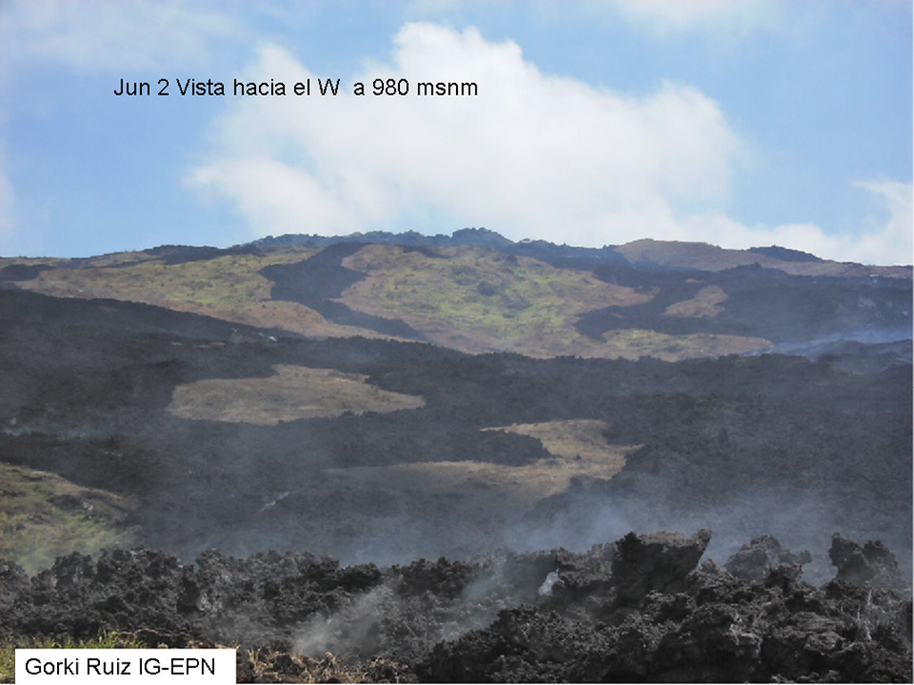 A view at Cerro Azul on June 2, 2008 looking west from 980 m elevation, shows lava flows from a May to June 2008 eruption.  From May 29 to June 1, lava flows were emitted from fissures in the summit caldera and on the east flank.  Beginning June 3, lava flows were erupted from fissures lower on the east flank.  Eruptive activity from Cerro Azul decreased considerably during June 16-17 and on June 18 incandescent material was no longer ejected.  Photo by Gorky Ruiz, 2008 (Instituto Geofisica, Quito).