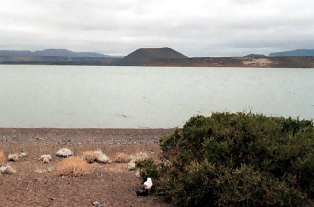 A pristine cinder cones rises to the west above the shores of Laguna Blanca, namesake of the Laguna Blanca National Park in Argentina.  The park is noted for its aquatic bird fauna, including black-necked swans and flamingos.  Youthful-looking basaltic to trachyandesitic cinder cones and small shield volcanoes of the Laguna Blanca volcanic field are considered to be of Holocene age, although no radiometric ages are available. Photo courtesy of Johan Varekamp (Wesleyan University).