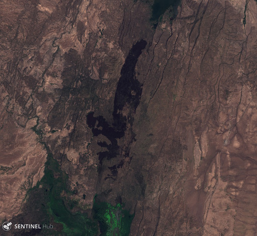 The dark rock down the center of this 26 October 2019 Sentinel-2 satellite image is a series of lava flows erupted from Hertali, located at the southern end of the Awash Plain and about 50 km NNE of Dofan volcano (N is at the top; this image is approximately 32 km across). Numerous NNE-SSW-trending faults of the Ethiopian Rift are visible along both sides of the flow. Satellite image courtesy of Copernicus Sentinel Data, 2019.