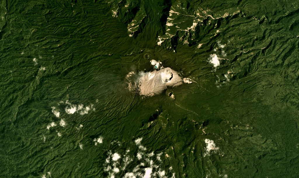 A series of craters have formed along a NW-SE-trending ridge on Balbi, seen in this January 2018 Planet Labs satellite image monthly mosaic (N is at the top; this image is approximately 15 km across). Part of the summit area is vegetation-free and geothermal activity continues. Satellite image courtesy of Planet Labs Inc., 2018 (https://www.planet.com/).