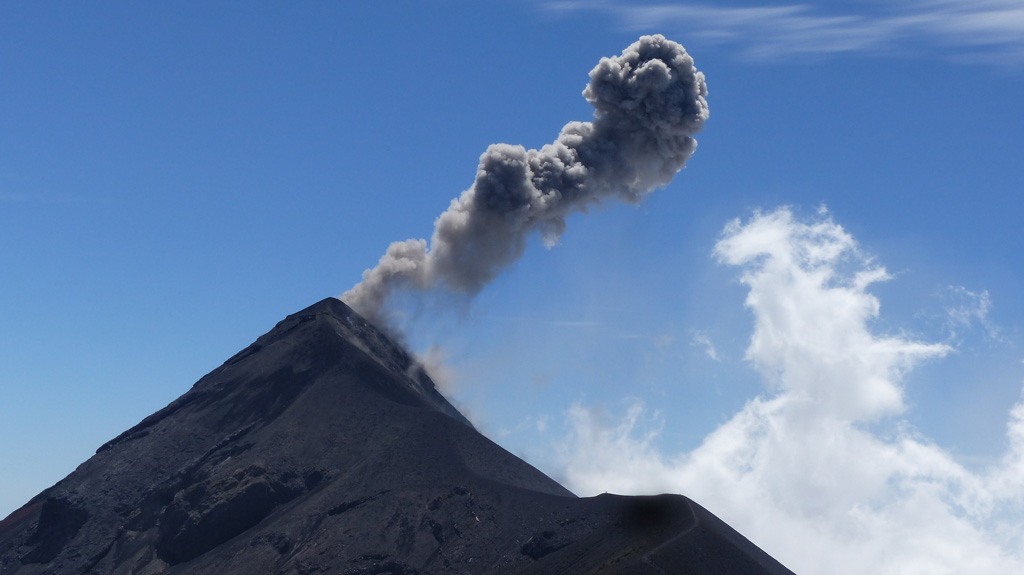 This 18 February 2020 photo shows an example of a typical Vulcanian explosion at Fuego The view is from the lookout area on Volcán Acatenango, about 2 km N, with the ash plume dispersing to the W. Photo by Ailsa Naismith, 2020.