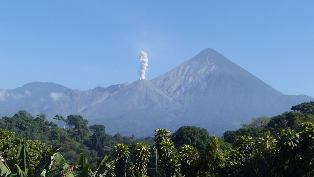 This 28 February 2020 photo shows typical degassing at El Caliente dome producing a vertical gas plume. The dome is one of four that form the Santiaguito dome complex at Santa Maria, with the 1902 crater wall behind it. Photo by Ailsa Naismith, 2020.