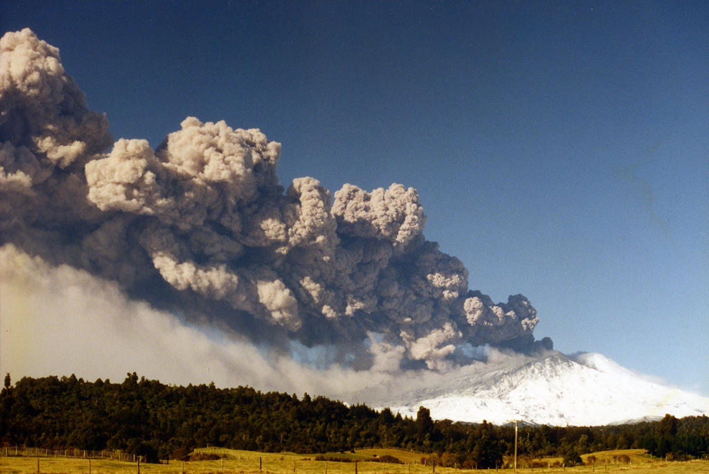 Ruapehu is seen here erupting on 17 June 1996 with a narrow ash plume that rose 8.5 km and extended 200 km NE from the vent. Ash is falling from the plume and is being carried by the wind below it. As well as impacting water, and power supplies, ash from this eruption effected agriculture and caused livestock fatalities. Photo by John A Krippner, 1996.