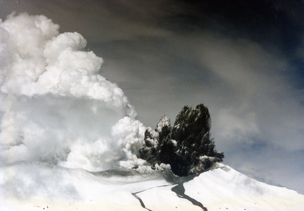 This September 1995 photo shows a Surtseyan plume at Ruapehu during the eruption through Te Wai a-Moe (Crater Lake), forming the dark cock’s-tail plume above the vent and a gas-and-steam plume to the left from the lake water. Two lahar paths descend the Whakapapa ski field on the northern flank in the foreground. A third lahar traveled down the eastern flank Whangaehu Valley. Photo by John A Krippner, 1995.