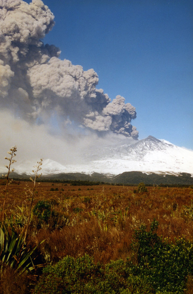 An ash plume erupts from the Ruapehu South Crater during the 1995-96 eruption, depositing ash across the flank. Ash was emplaced across a narrow swath on the NE North Island of New Zealand, out over the Pacific Ocean. This caused disruptions to water and power supplies and damage to the agricultural industry, with a cost of over $130 million New Zealand dollars to the tourism industry. Photo by John A Krippner, 1995-1996.