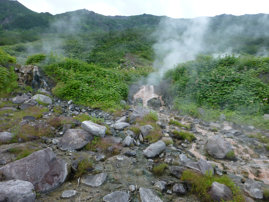 Geothermal activity occurs along the southern rim of the Akademia Nauk caldera, above the Karymsky lake. This 19 July 2014 view shows gas emissions from several areas, and geothermal fluids from a hot spring. Photo by Janine Krippner, 2014.