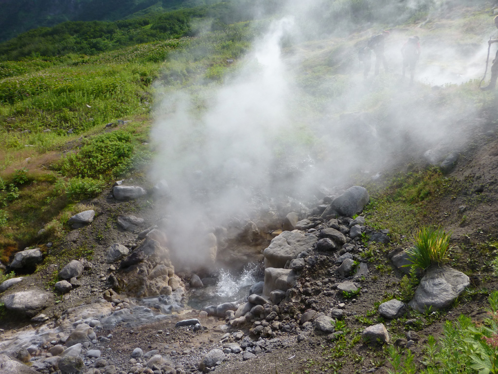 A hot spring on the southern caldera rim of Akademia Nauk is ejecting water and steam/volcanic gases on 19 July 2015 within a broader geothermal area. Geologists are behind the plume for scale. Photo by Janine Krippner, 2014.