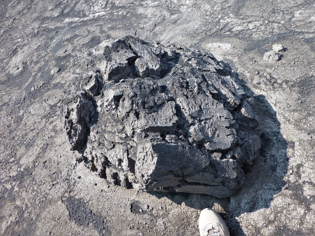 This breadcrust bomb was ejected from the Karymsky crater and landed below the SW flank some time before 2014. When it was erupted it was still molten and expanding in the center, causing the cooled, solidified crust to crack apart to form this typical structure. Photo by Janine Krippner, 2014.