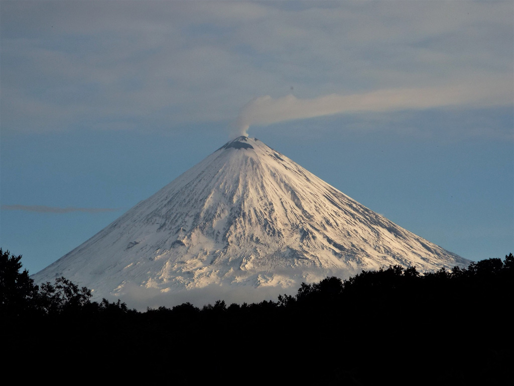 The northern flank of Klyuchevskoy is seen here on 8 July 2015. A gas-and-steam plume is emanating from the summit crater and is dispersed to the W by the wind. Photo by Janine Krippner, 2015.