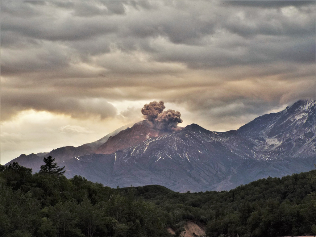 This 6 July 2015 photo of Sheveluch is from the Baidarnaya river channel to the SE. The higher edifice to the right is Old Sheveluch, and the rest of the edifice shown here is “Young Sheveluch”. An ash plume is rising from the lava dome, seen beyond the 1964 collapse scarp. Photo by Janine Krippner, 2015.