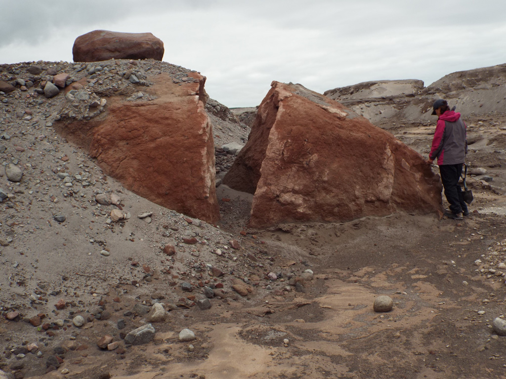This large boulder is dome rock that was carried by and emplaced within the 27-28 February 2005 Sheveluch block-and-ash flow, 15 km away from its source. It has been exposed in an eroded channel, surrounded by highly fragmented dome remnants. Photo by Janine Krippner, 2015.