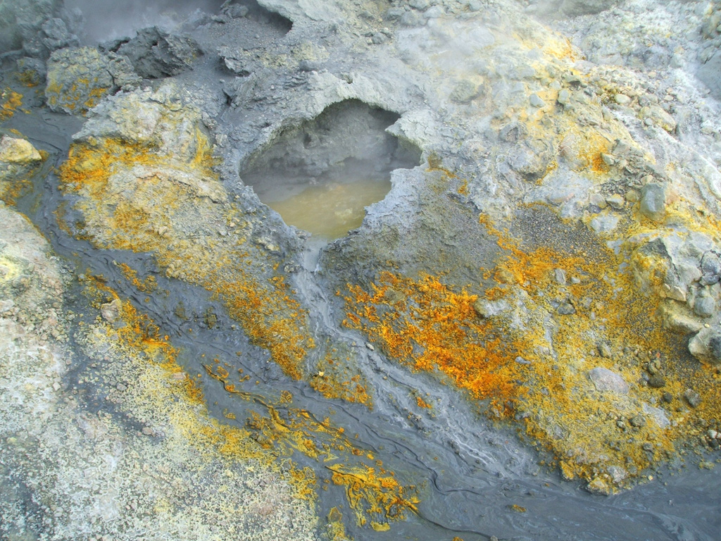 Whakaari/White Island has an active hydrothermal system that produces hot springs, fumaroles, mud pools, and acid streams and lakes. A sulfur-rich hot spring is shown here with extensive mineralization across the surrounding surface. Photo by Janine Krippner, 2005.