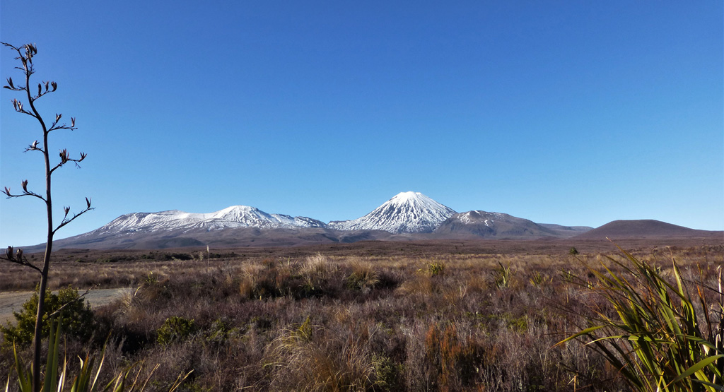 Eruptions of the Tongariro have occurred across at least 12 vents, with the western flank of the complex seen here in 2012. From left to right are the broad North Crater, the Ngauruhoe cone, Pukekaikiore, and Pukeonake. Eruption deposits and material that has eroded from the edifice forms the plain in the foreground. Photo by Janine Krippner, 2012.
