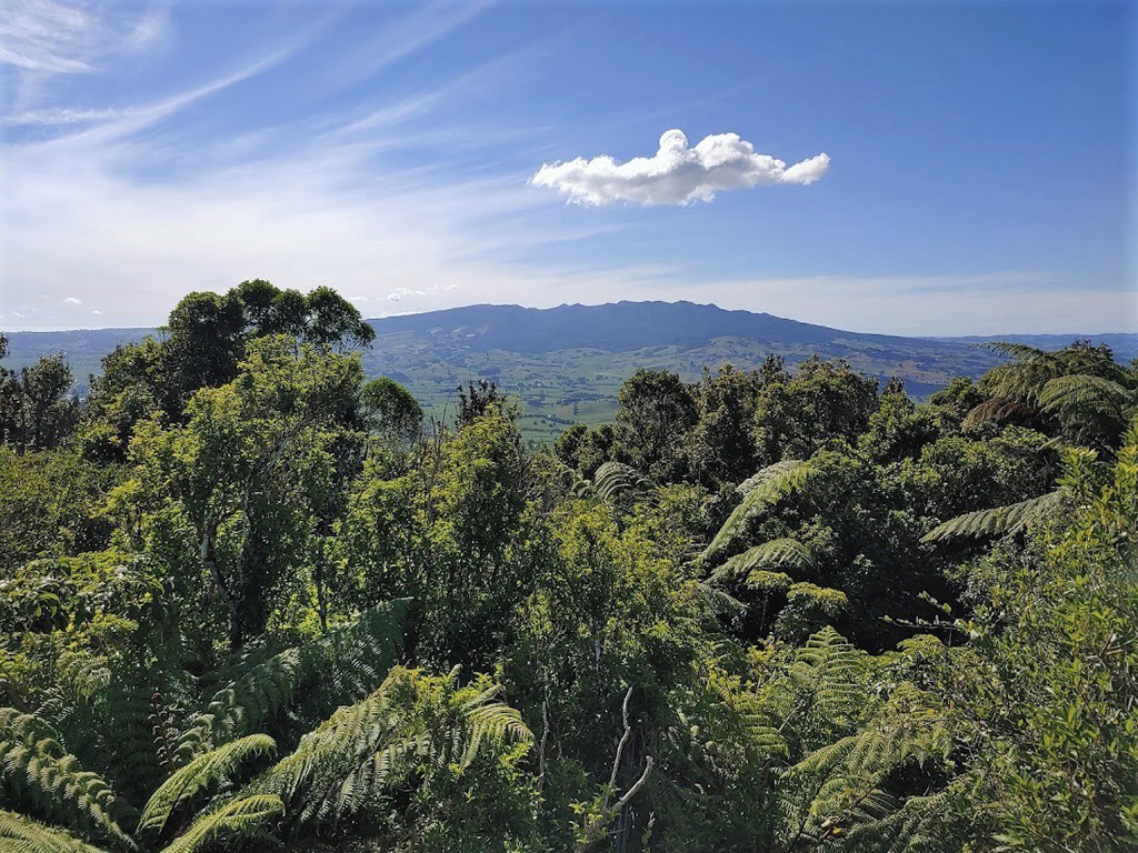 The western flank of the Pleistocene Maungatautari is seen here from Pirongia to the W in 2021.  Photo by Janine Krippner, 2021.