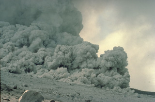 Mount St Augustine volcanic ash Collected Alaska March 27 1986 after eruption 