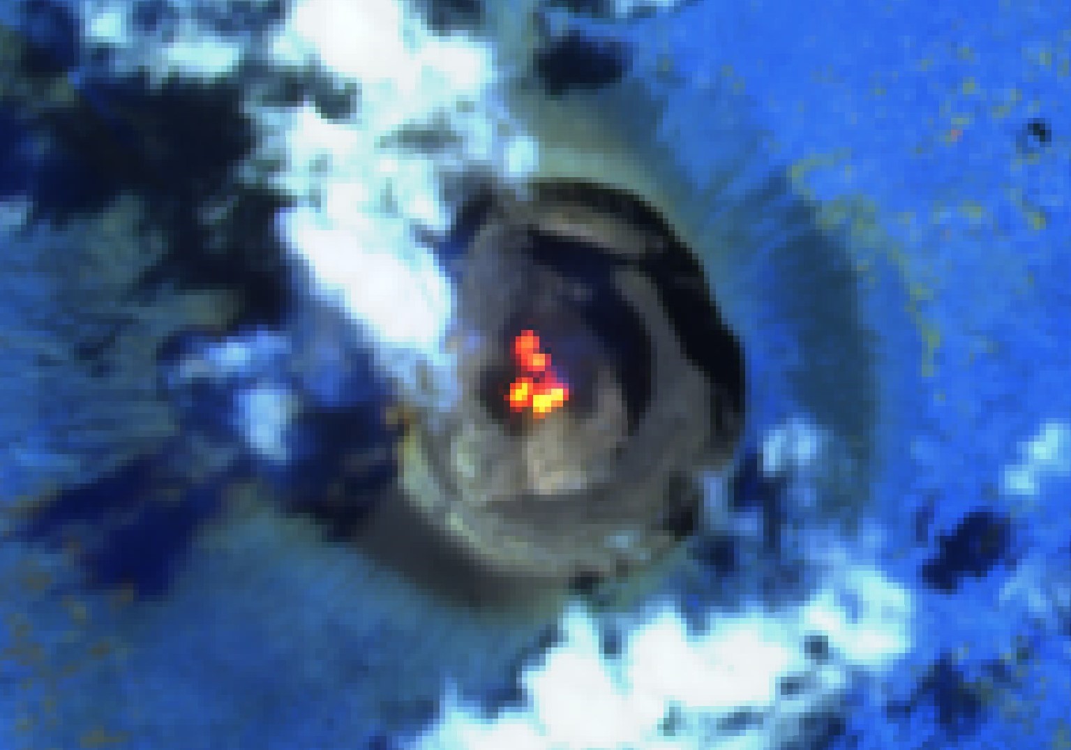 https://volcano.si.edu/images/bulletin/223030/223030_BGVN_094.jpg