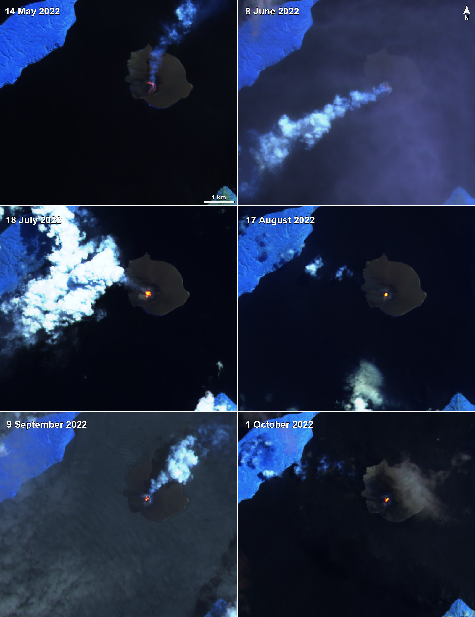 Biotic consequences of a volcanic flank collapse. (a) Flank collapse is